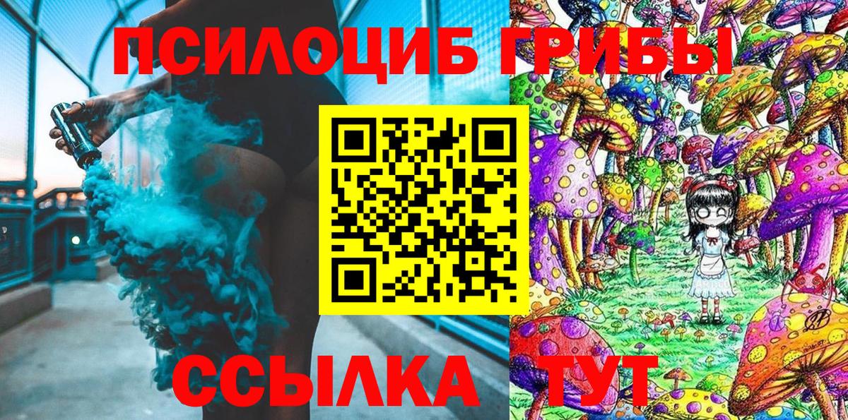Псилоцибиновые грибы Psilocybine cubensis Губкинский