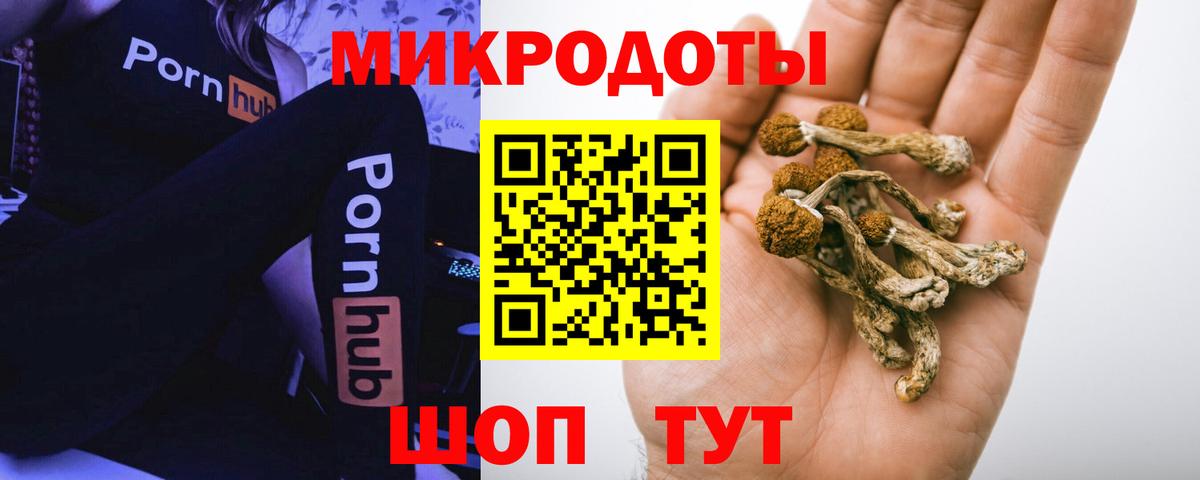 Псилоцибиновые грибы MAGIC MUSHROOMS  Вход с VPN  Губкинский 